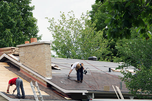 Best Roof Gutter Cleaning  in Clayton, NM